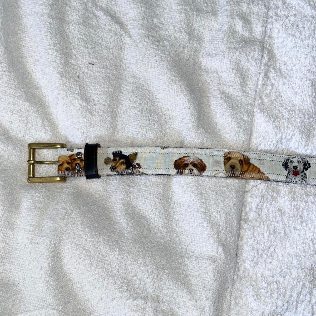 Puppy Dogs Belt